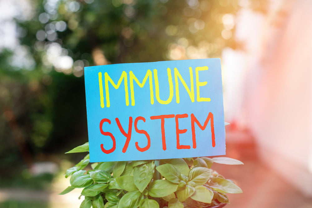 What Factors Impact Your Immune System?