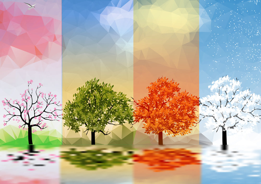 Can Your Immune System Change with the Seasons?
