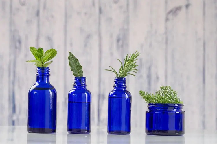 8 Popular Essential Oils & Their Uses