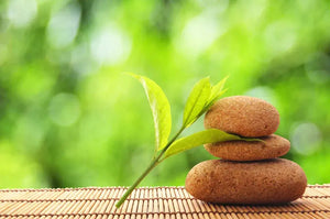 How to Stick to Your Wellness Goals in 2024