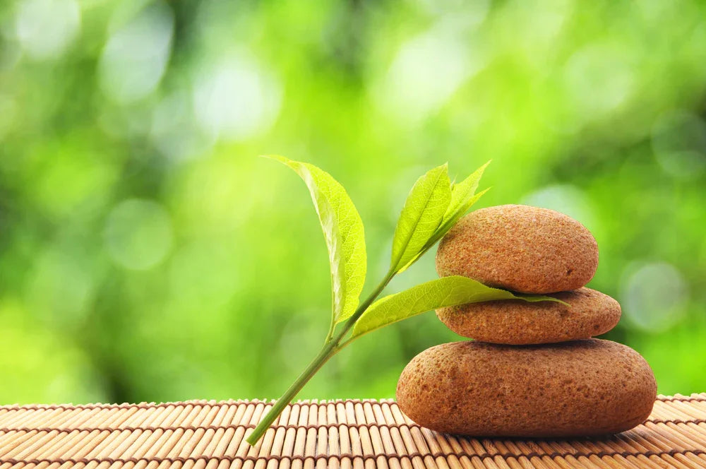 How to Stick to Your Wellness Goals in 2024