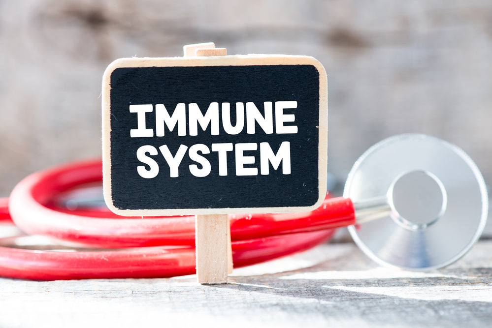 7 Myths About the Immune System, Debunked