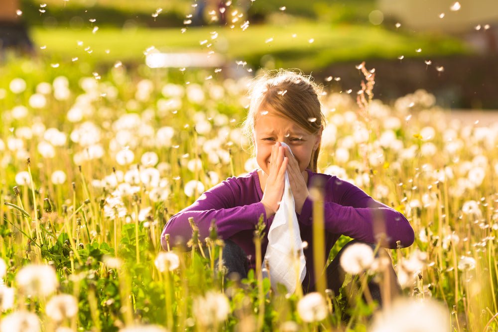 What Is Hay Fever & How Does It Relate to Your Immune System?