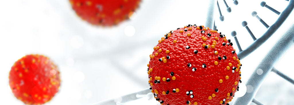 Dysbiosis 101: Symptoms, causes, treatments, and natural approaches