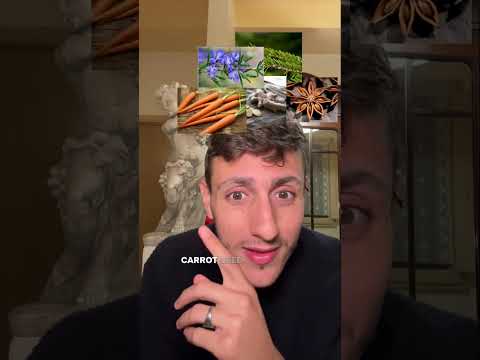 Spike Protein Toxin Detox