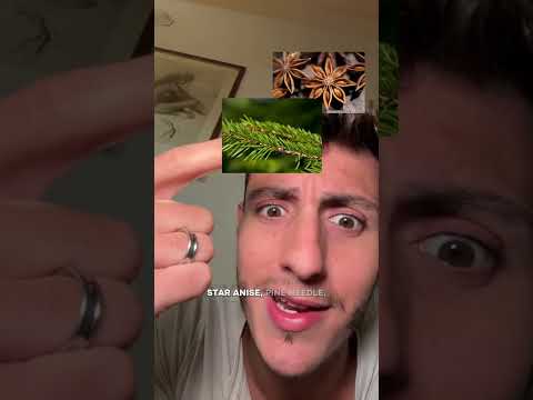 Spike Protein Toxin Detox